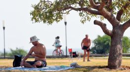 030126_sol_arboles_clima_cedoc_g