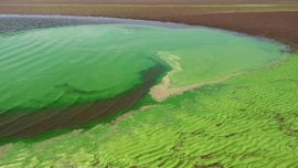 La actualización de este mapa tiene como principal objetivo que bañistas y deportistas no pongan en riesgo su salud en aguas recreativas.