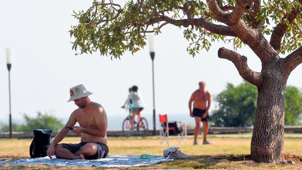 030126_sol_arboles_clima_cedoc_g