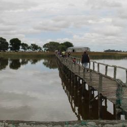 Durante el inicio de la temporada, con la laguna muy crecida, los rindes se extendieron incluso hacia los desbordes y el vecino Canal 2.