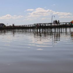 Durante el inicio de la temporada, con la laguna muy crecida, los rindes se extendieron incluso hacia los desbordes y el vecino Canal 2.