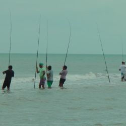 El ganador se llevará un auto 0 km, mientras que el segundo puesto recibirá $ 10.000.000 y el tercero $ 7.000.000, con premios en efectivo hasta el 20° clasificado, ampliando la grilla respecto a años anteriores.