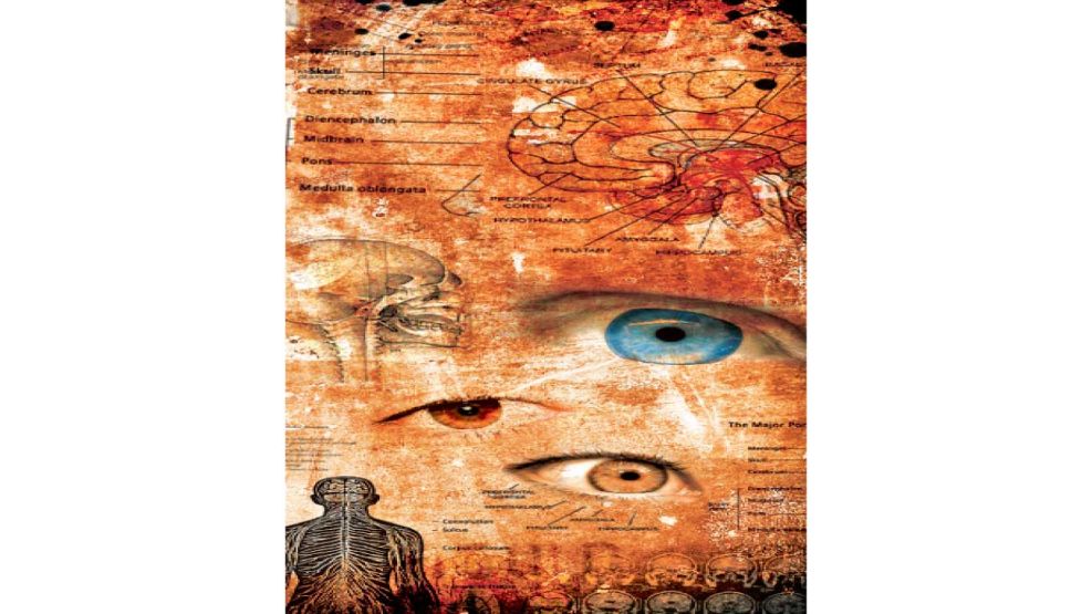 04_01_2026_caos_realidad_get_g