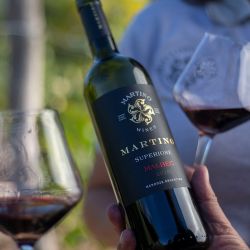 Bodega Martino Wines en Delirio