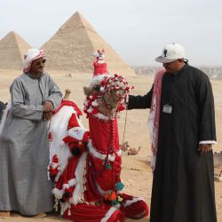 Un camello adornado con decoraciones de temática de Santa Claus es visto en las Pirámides de Giza, Egipto. | Foto:Xinhua/Ahmed Gomaa