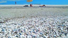 0105_playastranquilas