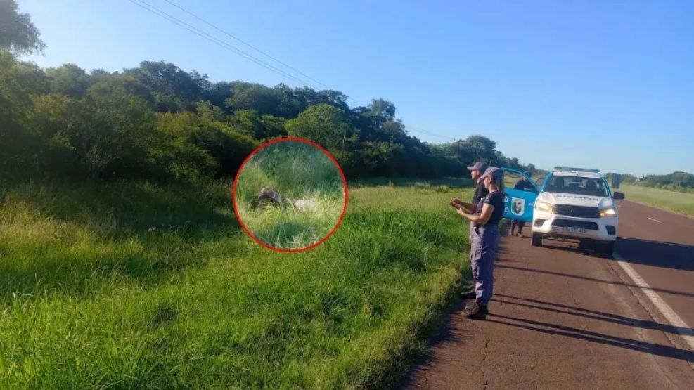 El cuerpo fue hallado en la zona de la Ruta 16