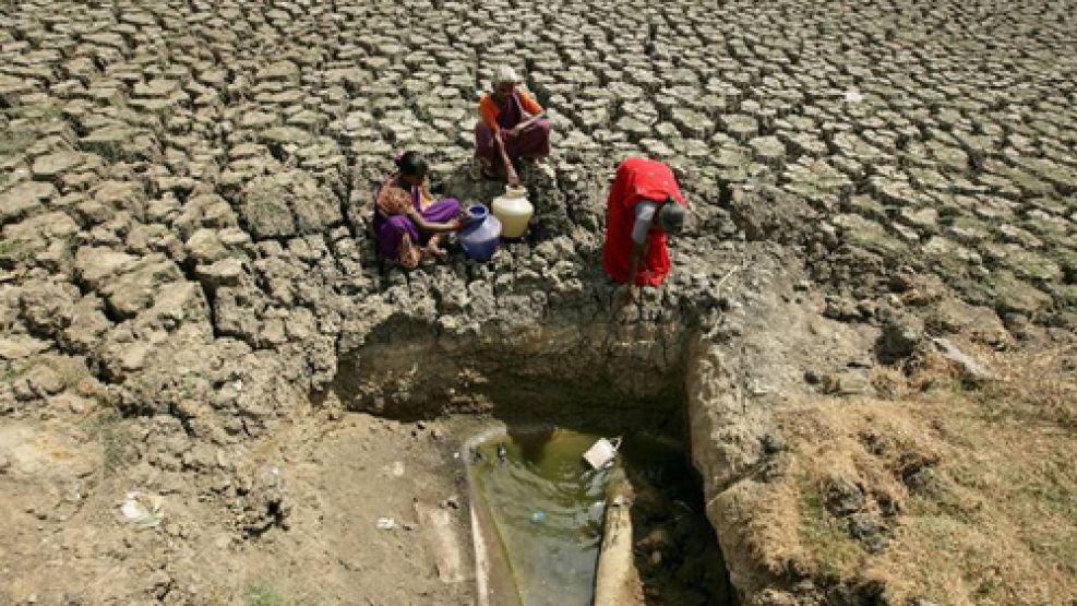 India: la agricultura enfrenta una crisis hídrica, ¿Cuáles son las principales causas?