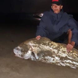 Un peso que la convierte en una de las piezas más importantes de los últimos años y en récord, según muchos adeptos al lugar, para la boca de la albufera de Mar Chiquita.
