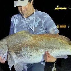 Un peso que la convierte en una de las piezas más importantes de los últimos años y en récord, según muchos adeptos al lugar, para la boca de la albufera de Mar Chiquita.