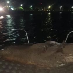 Un peso que la convierte en una de las piezas más importantes de los últimos años y en récord, según muchos adeptos al lugar, para la boca de la albufera de Mar Chiquita.