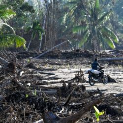 Los motociclistas pasan junto a árboles arrancados tras las inundaciones repentinas que destruyeron aldeas adyacentes en el distrito de Bireuen, en la provincia de Aceh, Indonesia. | Foto:CHAIDEER MAHYUDDIN / AFP