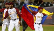 Liga de béisbol de Venezuela