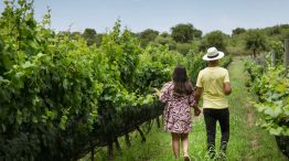 Un refugio rural donde el paisaje y el silencio marcan el ritmo de la experiencia 20260106
