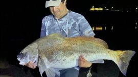 Mar Chiquita: una noche eterna y la corvina negra que ya es leyenda