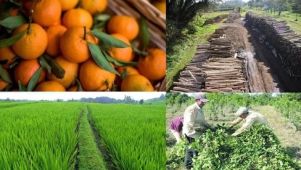 6-1-2025-Corrientes economía 