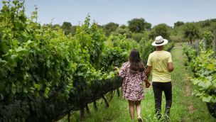 Un refugio rural donde el paisaje y el silencio marcan el ritmo de la experiencia 20260106