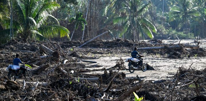 Los motociclistas pasan junto a árboles arrancados tras las inundaciones repentinas que destruyeron aldeas adyacentes en el distrito de Bireuen, en la provincia de Aceh, Indonesia.