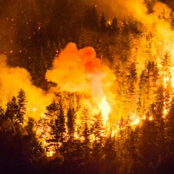 En la foto se muestra un incendio forestal que devora el monte Pirque en El Hoyo, en la región patagónica de la provincia de Chubut, Argentina. Miles de hectáreas de bosque fueron devastadas por el fuego en la Patagonia, donde se encuentra en alerta roja debido a las condiciones extremas, un año después de que la región experimentara sus peores incendios forestales en tres décadas. | Foto:MARTIN LEVICOY / AFP