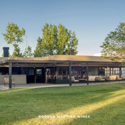 Martino Wines en Delirio