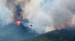 Incendios patagonia 2026