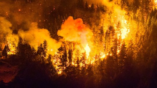 forest-fires-patagonia-2166027.jpg