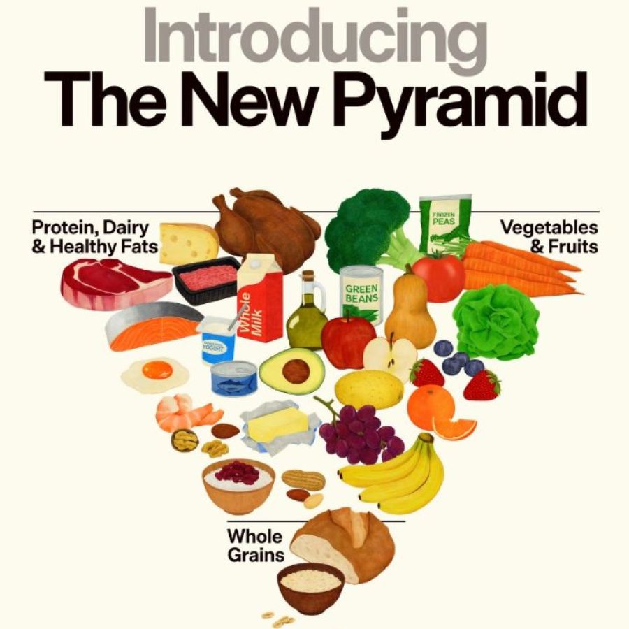 EE.UU. rediseñó la pirámide alimenticia debido a su masiva obesidad: qué cambia y por qué | Perfil