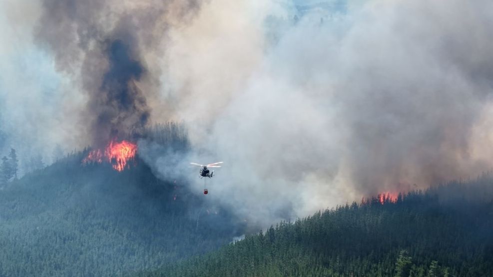 Incendios patagonia 2026
