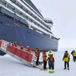 Enero: el momento perfecto para hacer un crucero a la Antártida.