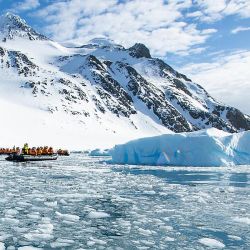 Enero: el momento perfecto para hacer un crucero a la Antártida.