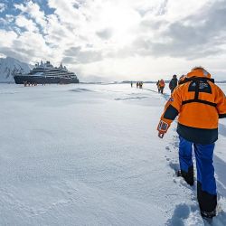 Enero: el momento perfecto para hacer un crucero a la Antártida.