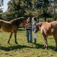 Loli Pascualetti -Al Origen- 