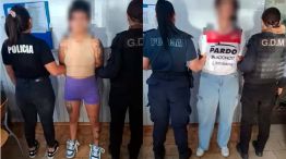 Viudas negras en Pergamino 08012026