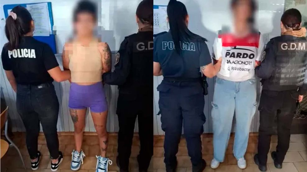 Viudas negras en Pergamino 08012026