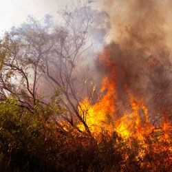 Incendios en Patagonia.