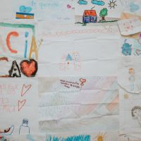 Rausch Odontología: Transformar sonrisas desde la raíz