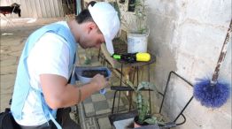 Cronograma de monitoreo aédico