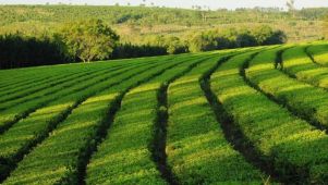 09-01-2026 Agro Misiones