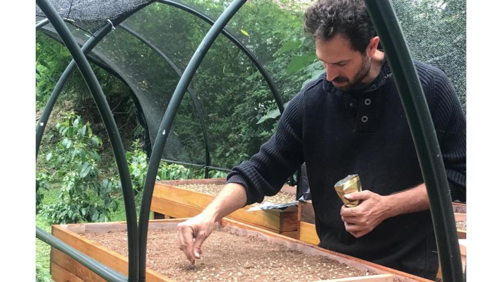 Tomás Forte: un caficultor argentino apasionado