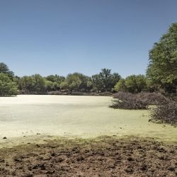 Aves Argentinas adquirió 47.600 hectáreas para ampliar el Parque Nacional Traslasierra.