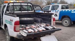 Uno de los procedimientos más recientes ocurrió durante la madrugada del domingo sobre la Ruta Nacional 237, a la altura del embalse Alicurá.