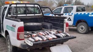 Uno de los procedimientos más recientes ocurrió durante la madrugada del domingo sobre la Ruta Nacional 237, a la altura del embalse Alicurá.