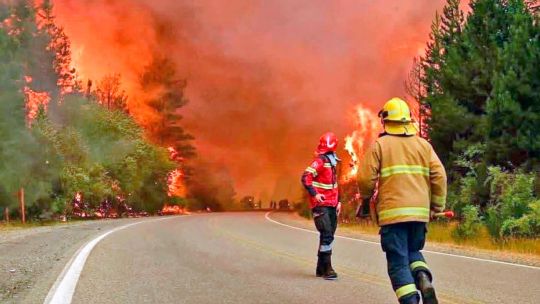 Incendios forestales: cae 53,6% el presupuesto y afectará la prevención