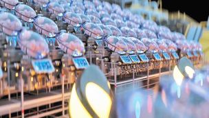 11_01_2026_fertilidad_artificial_cedoc_g