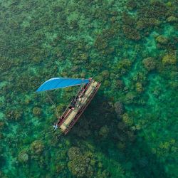 De la Antártida al Artico, Will Smith recorrió el planeta rodando al serie de National Geographic De Polo a Polo que se estrena en Disney +.