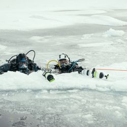 De la Antártida al Artico, Will Smith recorrió el planeta rodando al serie de National Geographic De Polo a Polo que se estrena en Disney +.