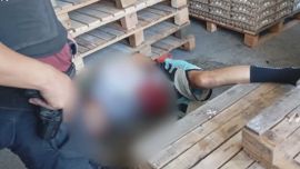 "Ya está, me rompiste la panza": un ladrón murió tras ser baleado por un expolicía cuando entró a robar a un depósito de huevos