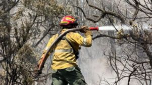 12-01-2026 bomberos cordobeses incendios en Chubut
