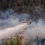 Firefighters battle blazes as Patagonia wildfires spread to 15,000 hectares