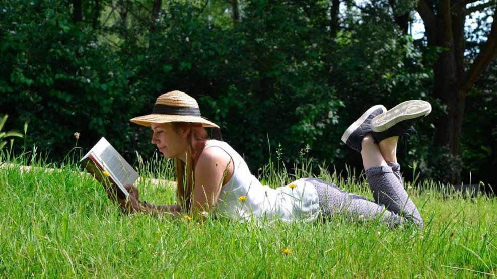 Lectura de verano 12012026